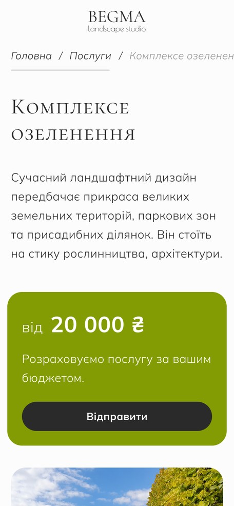 Страница услуги