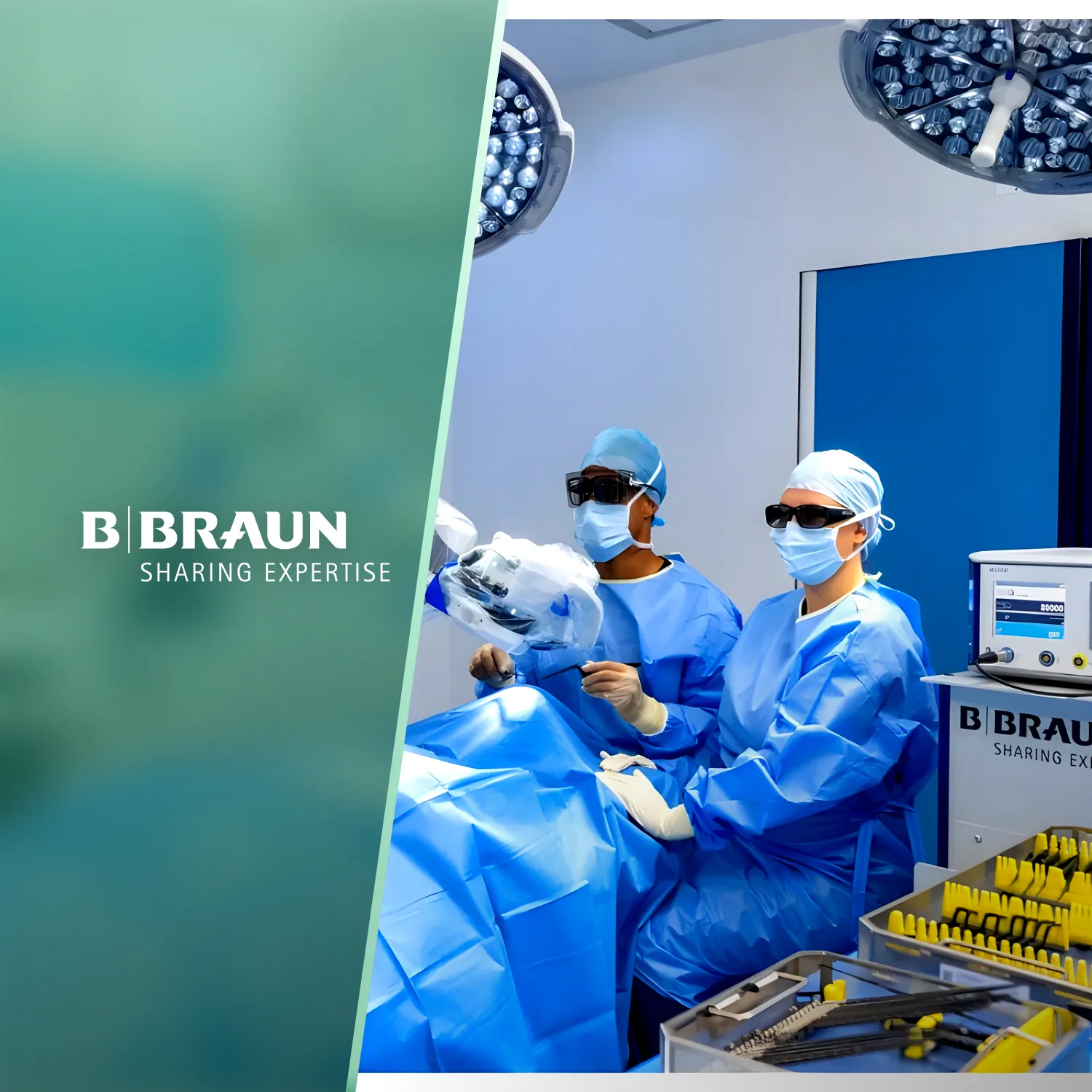 SEO bbraun-medical.com.ua