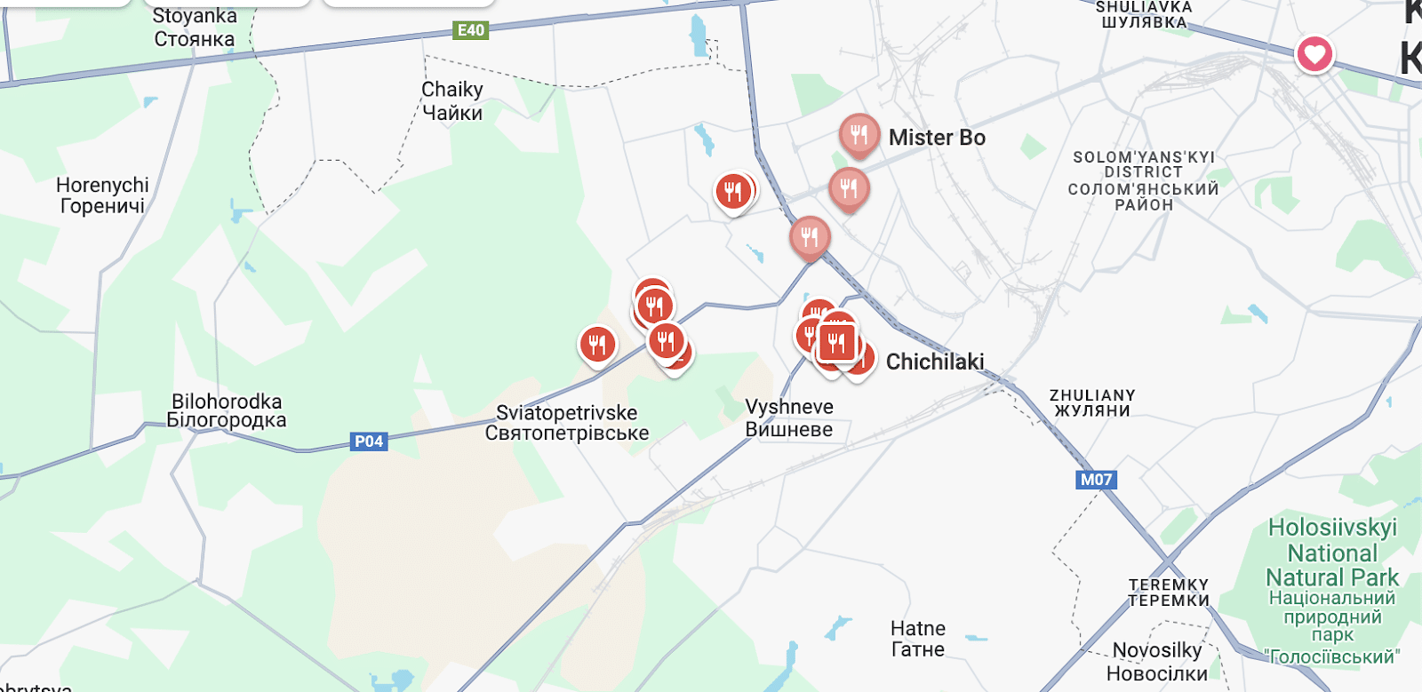 Google Maps Search